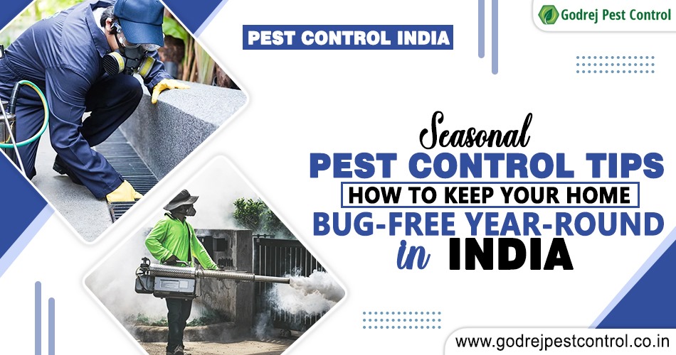 1724238056-Pest_Control_India.jpeg