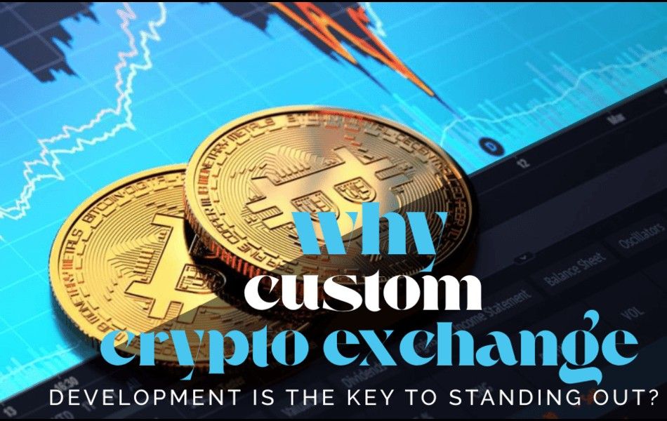 1746869829-WhyCustomCryptoExchangeDevelopmentIstheKeytoStandingOut.jpeg