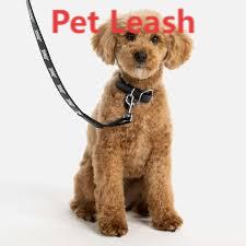 1747204217-Pet_Leash_(4).jpg