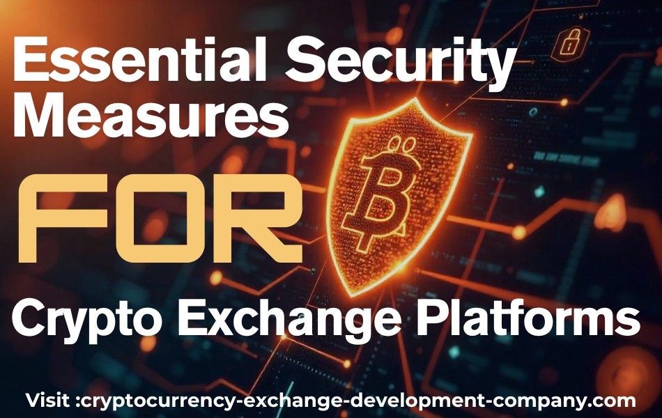 1747303956-cryptoexchange_(1).jpeg