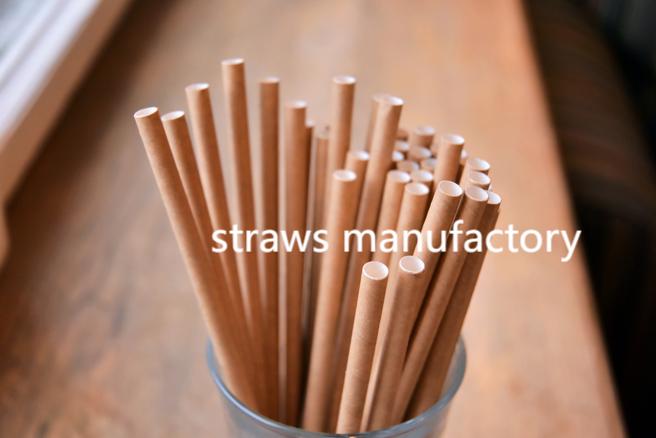 1747619111-straws_factory11.jpg