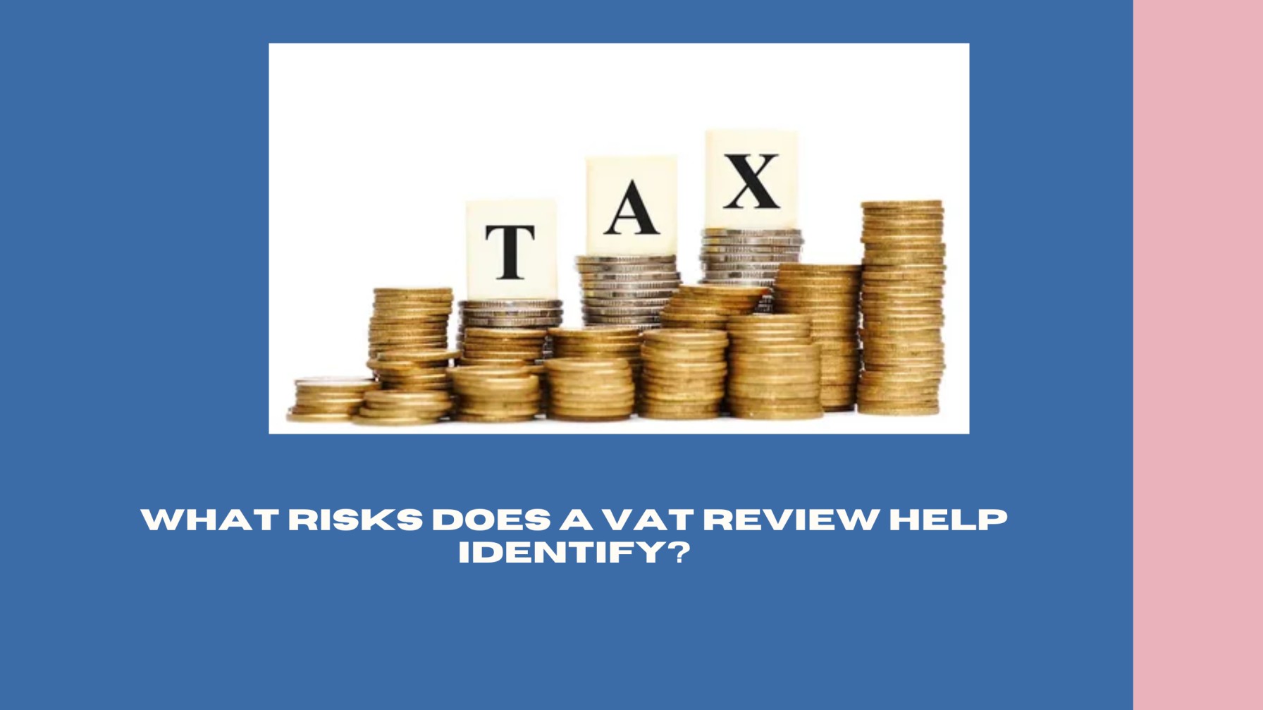 1748237103-What_Risks_Does_a_VAT_Review_Help_Identify.jpg