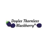 1748259219-DoylesBlackberryInc.jpg
