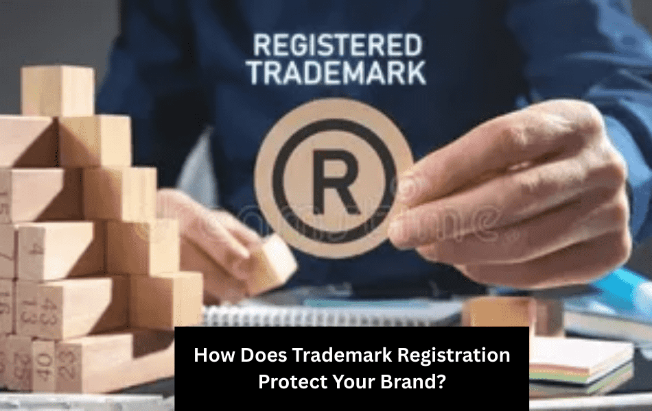 1748270579-How_Does_Trademark_Registration_.png