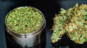 1748346336-Weed_Delivery_in_Guelph.jpg