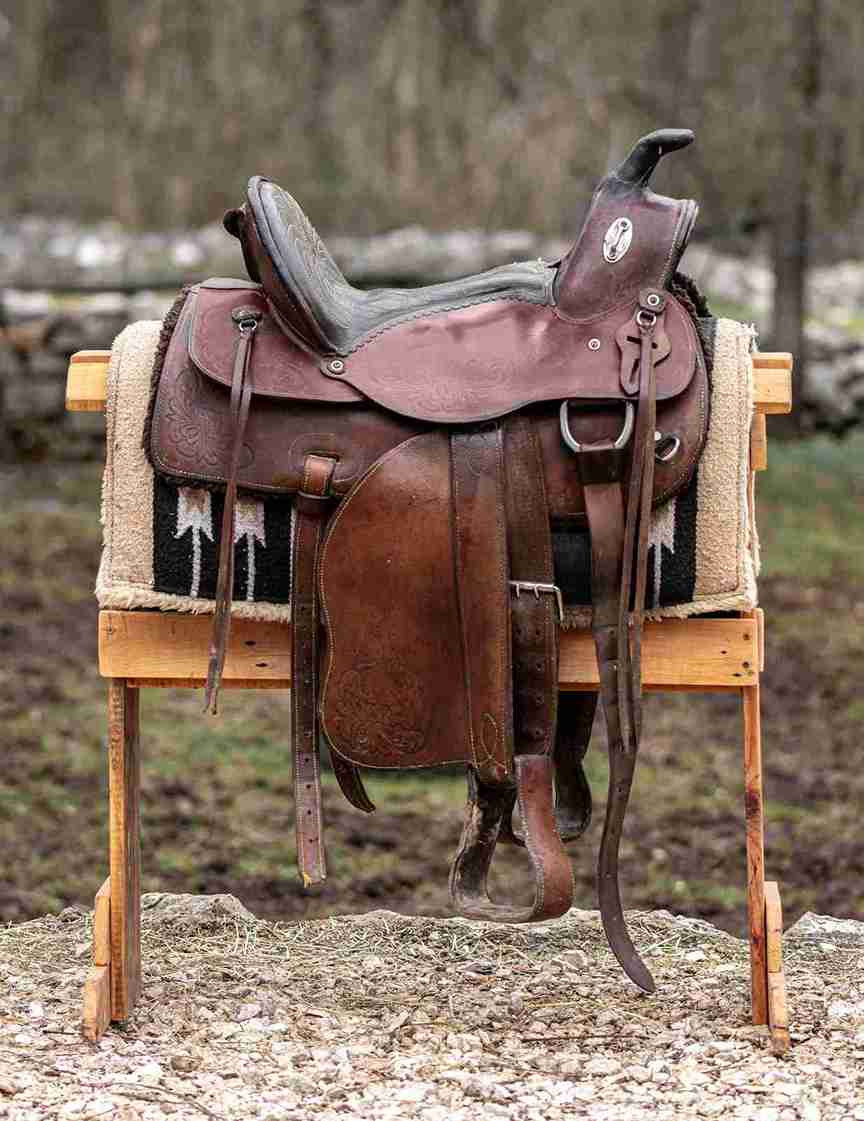 1748681404-Horse_Rug.jpg