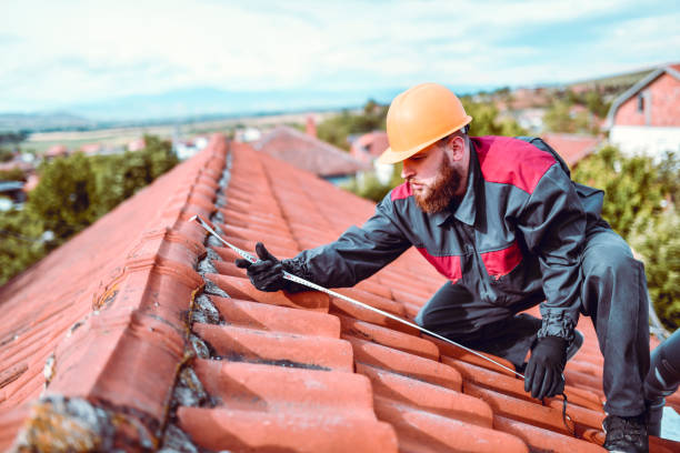 1748712086-istockphoto-1259296555-612x612.jpg