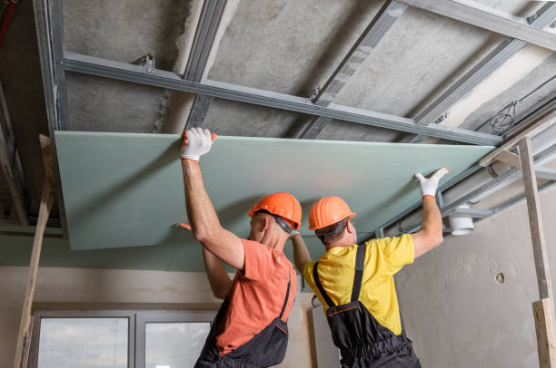 1749764647-istockphoto-1183295312-612x612.jpg