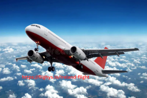 1750421710-httpsflighys_io_(16).png