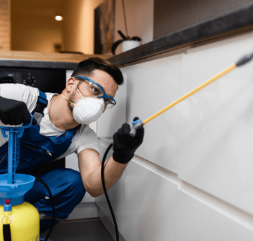 1752732502-pest-control1.png