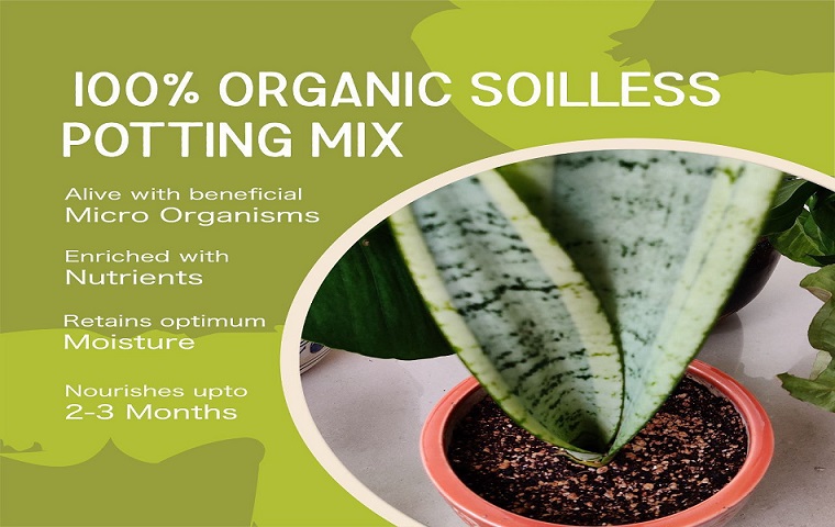 1753172665-potting_mix_for_indoor_plants.jpg