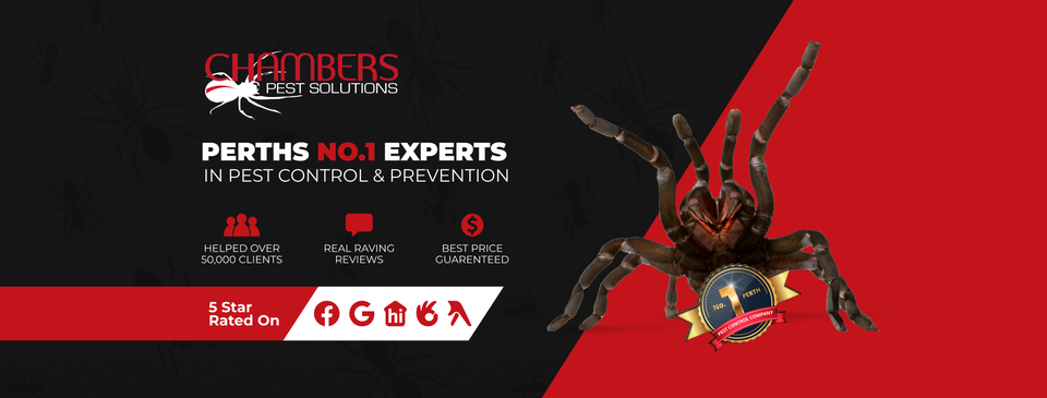 1753247429-Chambers_PestSolutions.png