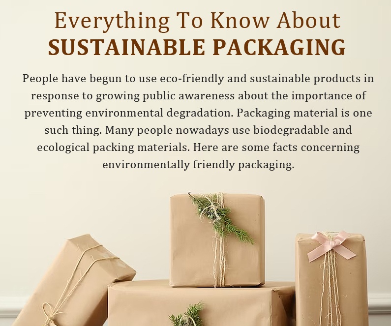 1753276585-PM_Info-_Sustainable_Packaging_cover.jpg