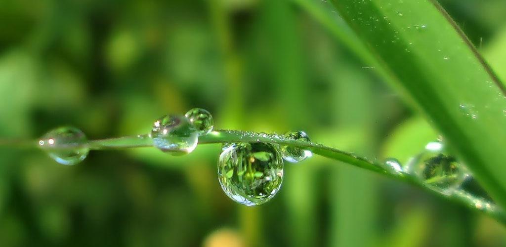 1753298102-Dew_Point_Calculator.jpg