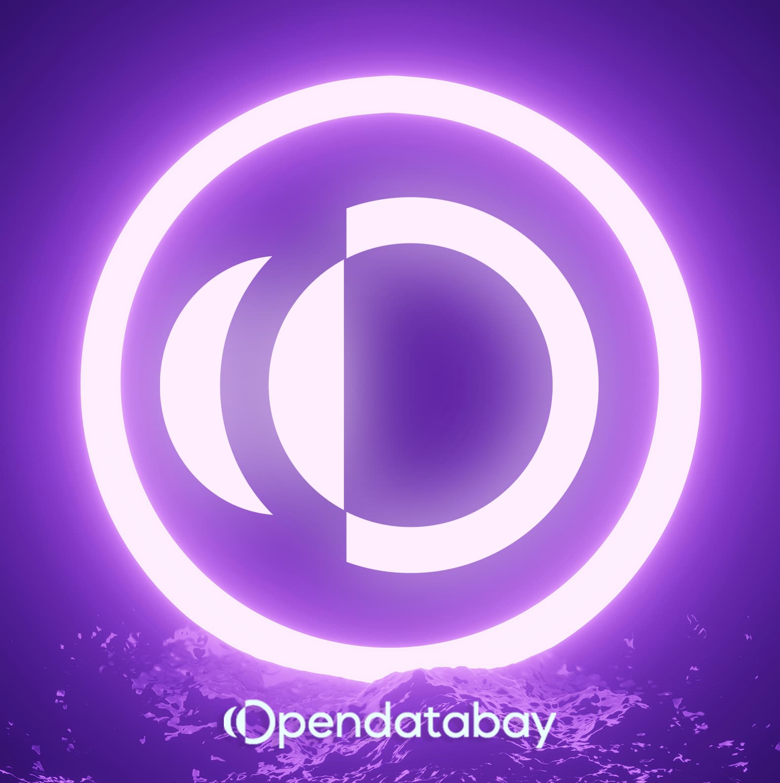 1753790707-02_Opendatabay.jpg