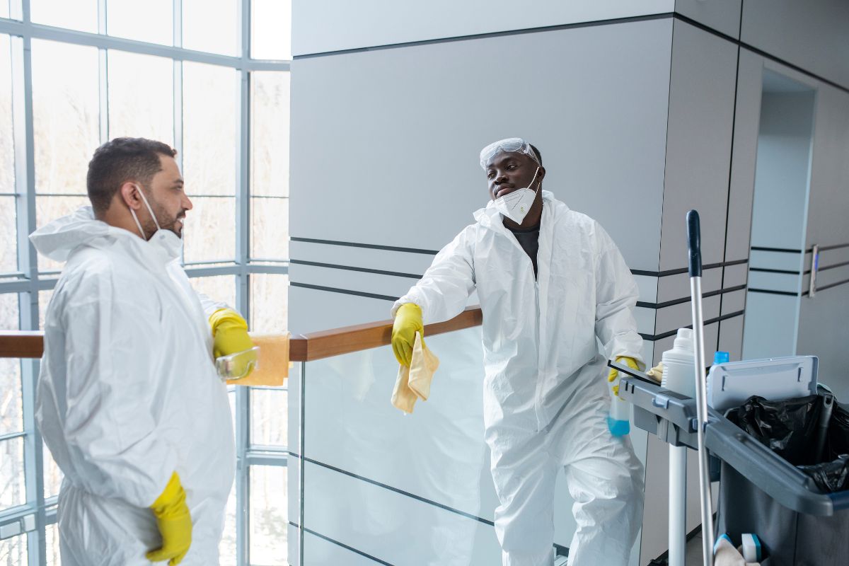 1754989549-Chemical_Free_Cleaning_Services_Chicago.jpg