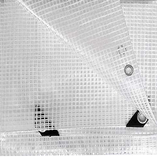 1756723819-100GSMCLEARTARPAULINS.jpg