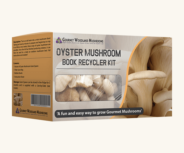 1756790086-Custom_Mushroom_Boxes.png