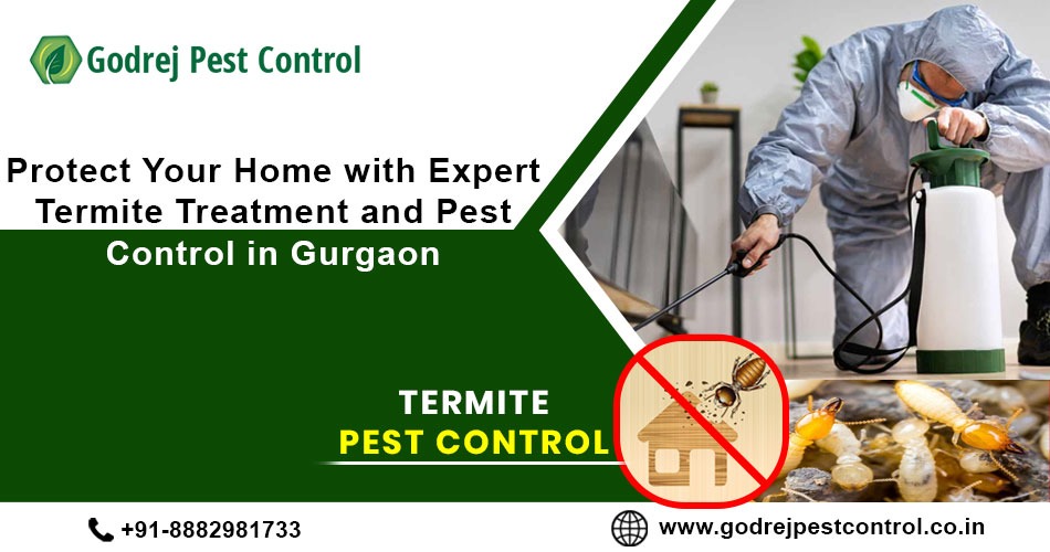 1756796500-Termite_Treatment_Gurgaon.jpeg