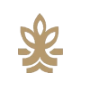 1757348390-Capture_shahzaib.PNG