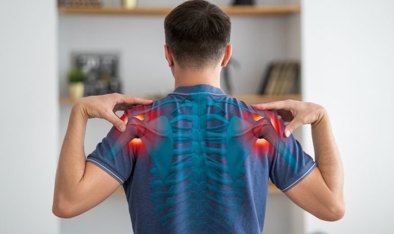 1758607033-imgi_19_Shoulder-Pain-768x45.jpeg