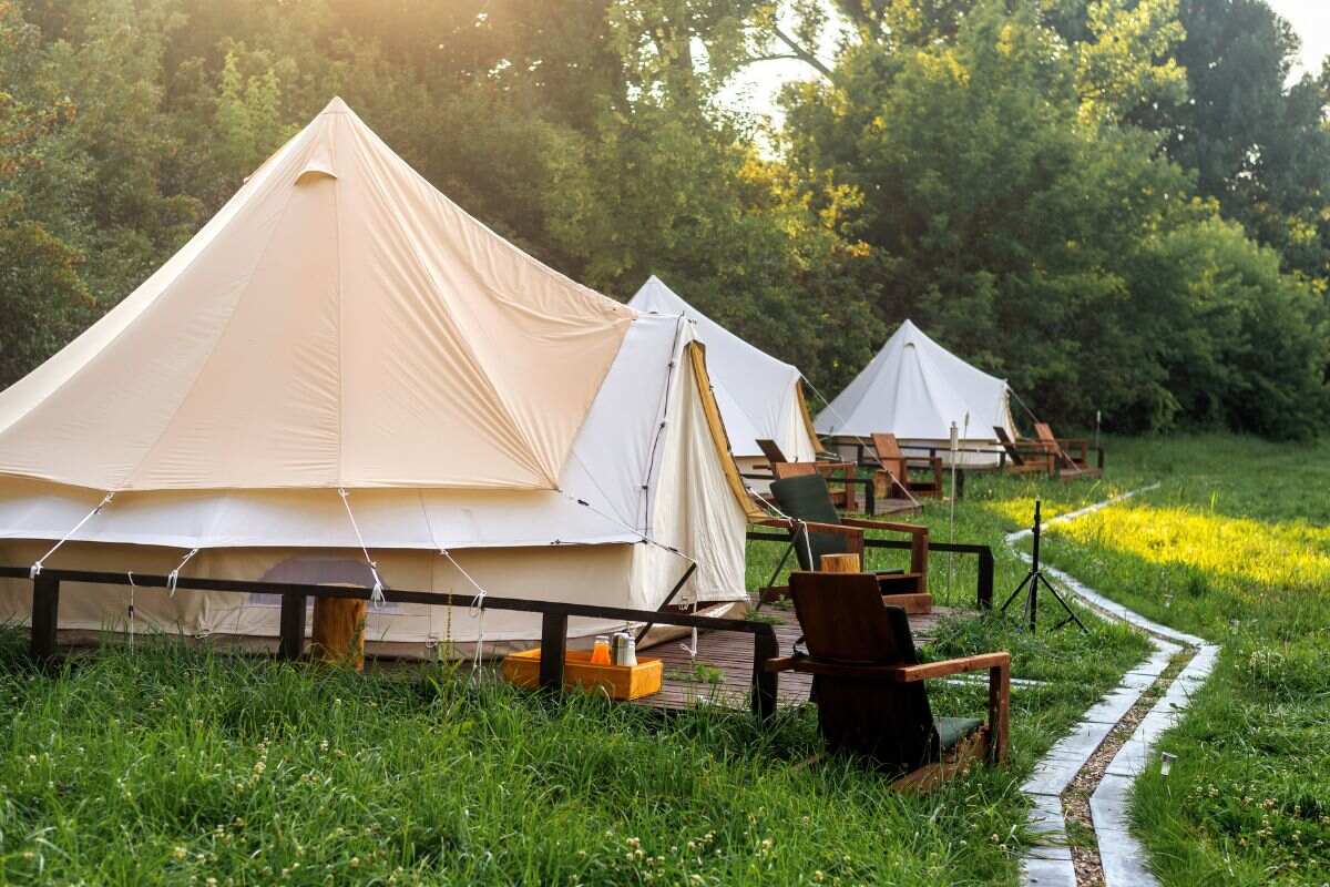 1763908066-canopy-tents-are-essential-for-corporate-and-professional-events.jpg