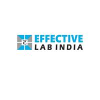 effective-lab-india