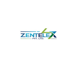 zentelex-pvt-ltd-best-software-and-digital-marketing-company